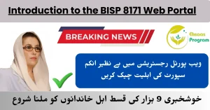 Introduction to the BISP 8171 Web Portal