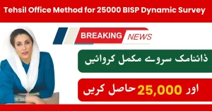 Tehsil Office Method for 25000 BISP Dynamic Survey